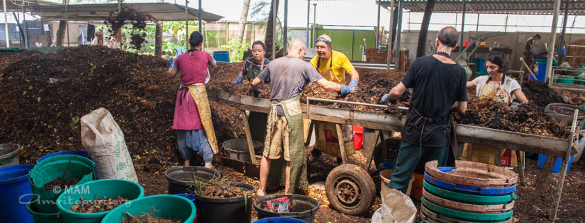 From Garbage to Garden