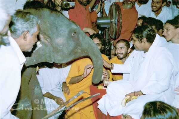 Amma giving darshan to Ram the elephant