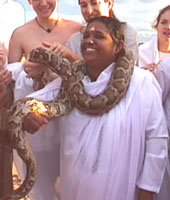 Amma & Python