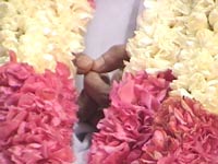 Amma's hands