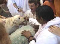 Amma giving darshan to a dog