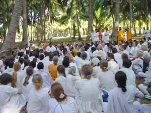 Amma with devotees on a coconut farm