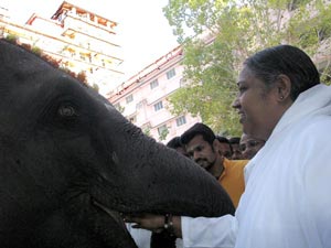 Lakshmi arrives in Amritapuri