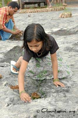 Children planting trees