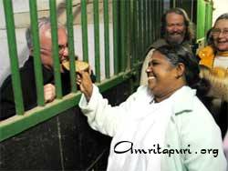 Amma feeding a man jokingly