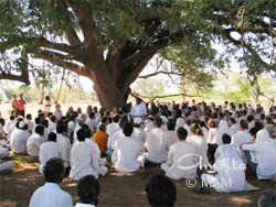 Amma sitting under a tree with the tour group