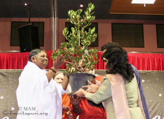 amma-singapore