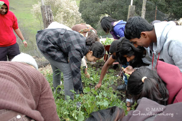 Ayudh attendeed learn about organic farming