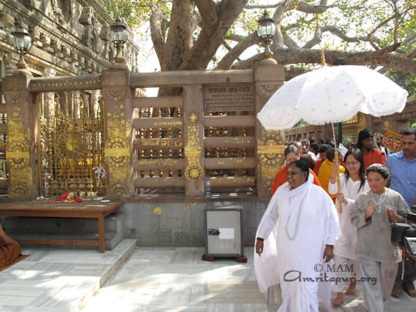 Amma near the Bodhi tree where Buddha got enlightenment