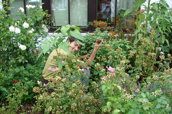 Gardening at M.A. Center Germany