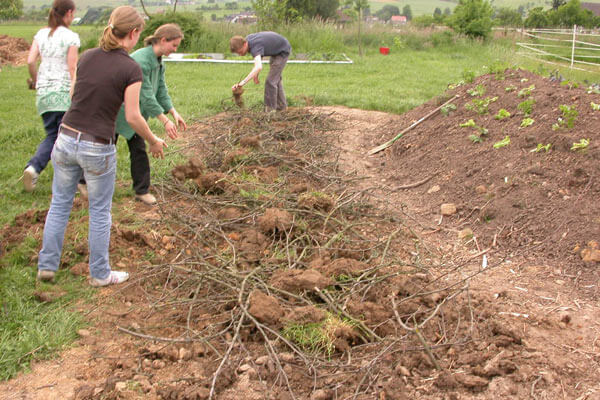 Vegetable planting at M.A. Center Germany