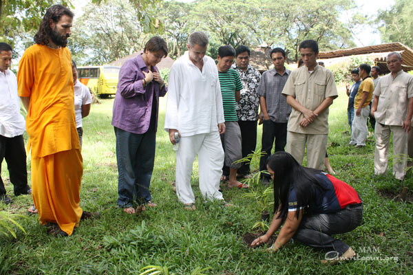 planting saplings