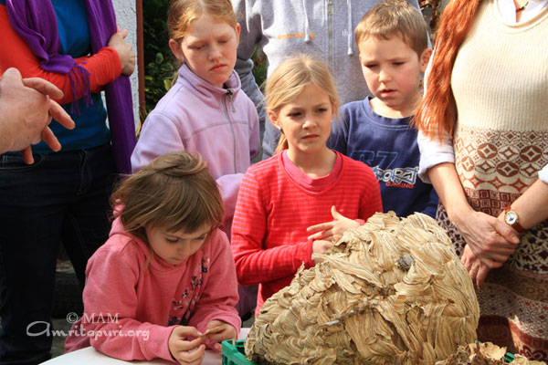 Children leaning about nature