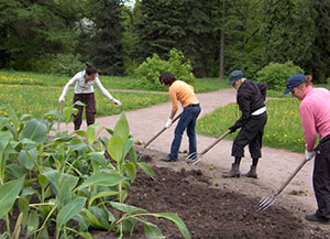 Green initiative launched in St. Petersburg