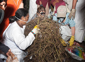 Cleaning Kolkata streets at night