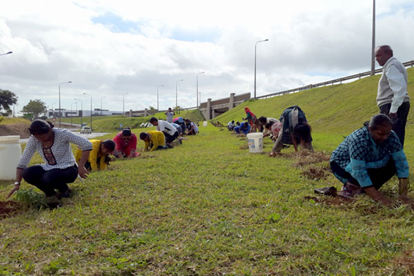 Green Friends Mauritius launched