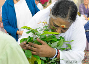 Japanese children are crying led Amma to Japan