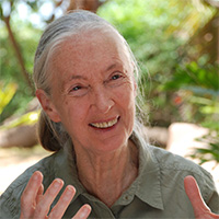 Dr. Jane Goodall, world-renowned primatologist