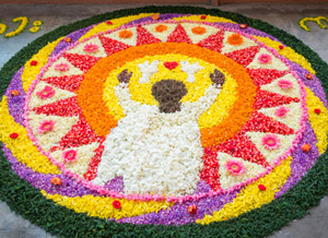 Pookkalam, floral decorations for Onam