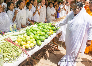 Organic Vegetables for Onam