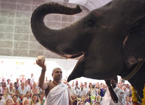 Ganesh Chaturthi celebration at Amritapuri