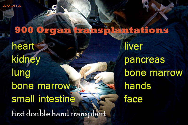 amrita-transplant