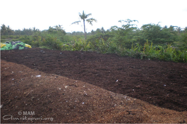 compost bed