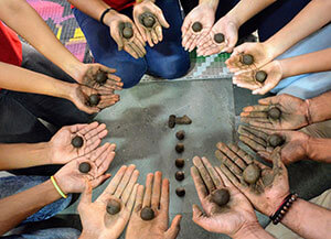 Planting one lakh seed balls in the forest, in just 6 hours