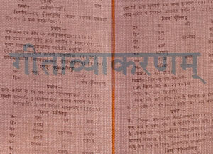 Learn Sanskrit for understanding the true import of Vedanta