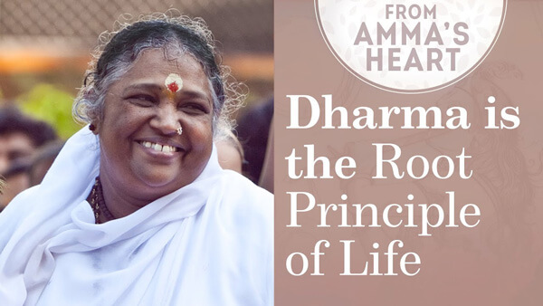 Dharma is the root principle of Life