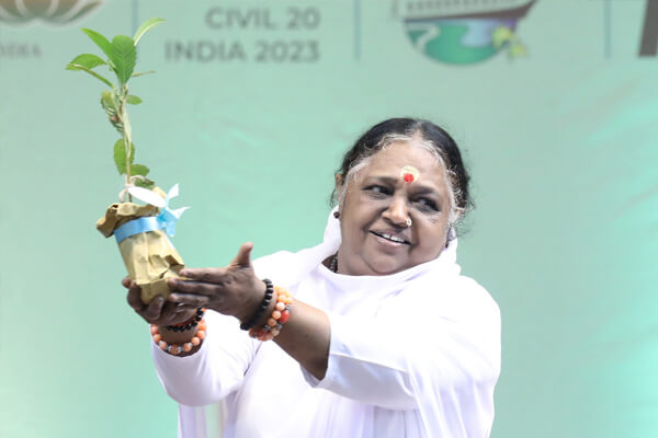 Amma holding a sapling