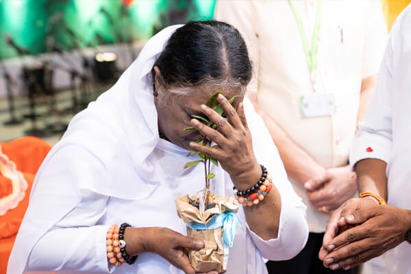 Amma blessing a sapling during Vishu celebrations