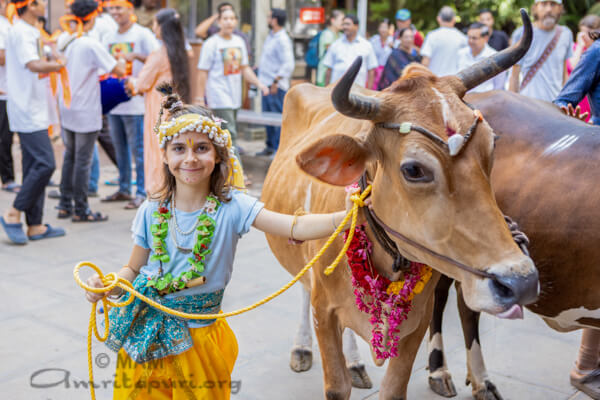 Go puja at Amritapuri