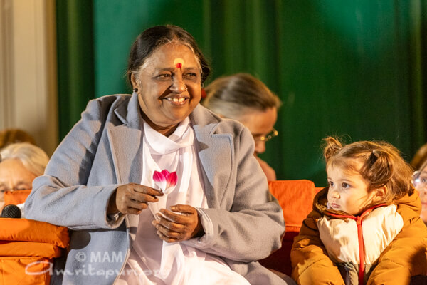 Mosquito, Flowers, and Contenment