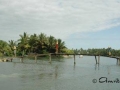 alappuzha20