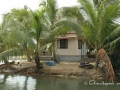 alappuzha22