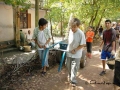 brickseva15