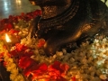 703mysore-474