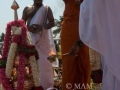 17-mangalore08