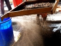 compost-21