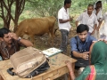karnatak-29