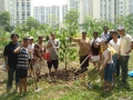 sg-tree5