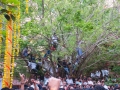 12-krishna-jayanthi28
