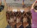 15yogaday-15