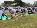 15yogaday-23