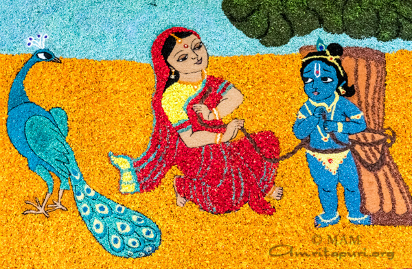 16-pookkalam-10
