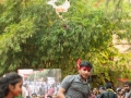 17krishna-26