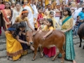 19gopuja-14