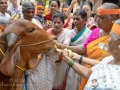 19gopuja-17