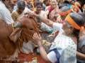 19gopuja-18